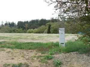 Prodej pozemku pro bydlení, Květov, 8455 m2