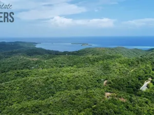 Prodej bytu 3+kk, Coxen Hole, Roatán, Honduras, 111 m2