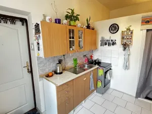 Prodej bytu 1+1, Křešice, Kolonie, 48 m2