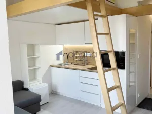 Pronájem bytu 1+kk, Praha, Hejtmánkova, 20 m2