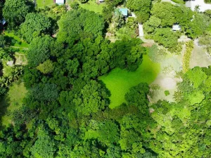 Prodej pozemku, Coxen Hole, Roatán, Honduras, 3265 m2