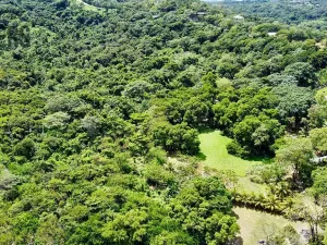 Prodej pozemku, Coxen Hole, Roatán, Honduras, 2090 m2