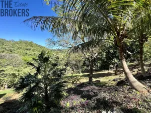 Prodej pozemku, Coxen Hole, Roatán, Honduras, 1872 m2