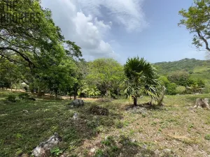 Prodej pozemku, Coxen Hole, Roatán, Honduras, 1594 m2