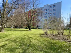 Pronájem bytu 2+kk, Ostrava, Polská, 48 m2