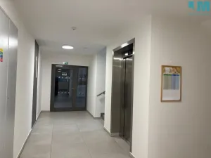 Pronájem bytu 2+kk, Třebíč, Okružní, 61 m2