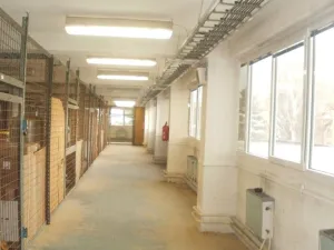 Pronájem skladu, Praha - Horní Počernice, Ve žlíbku, 127 m2