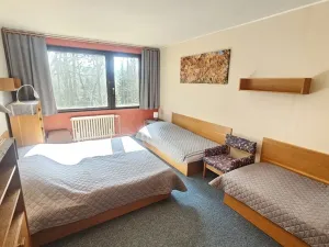 Prodej rodinného domu, Janov nad Nisou, 635 m2