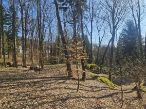 Prodej pozemku pro bydlení, Janov nad Nisou, 11396 m2