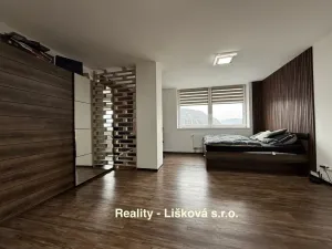 Pronájem bytu 1+kk, Ústí nad Labem, Velká Hradební, 40 m2