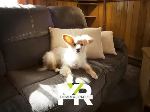 Prodej rodinného domu, Praha - Třeboradice, V Pačátkách, 200 m2