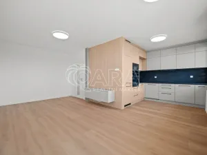 Prodej bytu 4+kk, Praha - Žižkov, U kněžské louky, 81 m2