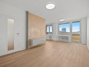 Prodej bytu 4+kk, Praha - Žižkov, U kněžské louky, 81 m2