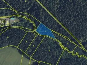 Prodej podílu pole, Těchonín, 538 m2