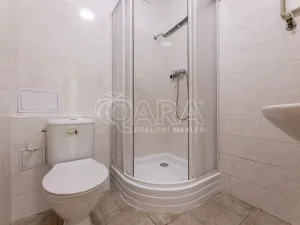 Pronájem bytu 1+kk, Praha - Vinohrady, 24 m2