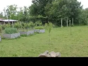 Prodej zahrady, Znojmo, 1809 m2