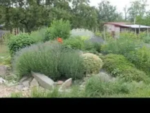 Prodej zahrady, Znojmo, 1809 m2