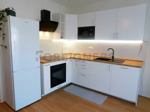 Pronájem bytu 2+kk, Plzeň, Hřímalého, 75 m2