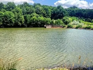 Prodej louky, Velký Ořechov, 21368 m2