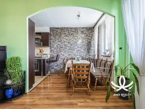 Prodej bytu 3+1, Mladá Boleslav, Havlíčkova, 73 m2