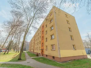 Pronájem bytu 3+1, Karviná, Borovského, 54 m2