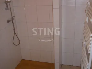 Pronájem bytu 1+kk, Ostrava - Přívoz, 28 m2