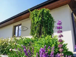 Prodej rodinného domu, Borovany, 237 m2