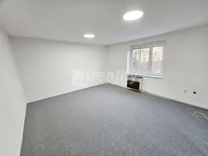 Prodej bytu 1+1, Jihlava, Havlíčkova, 43 m2