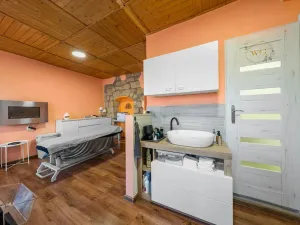 Prodej činžovního domu, Úštěk - Úštěk-Českolipské Předměstí, Polské lidové armády, 262 m2