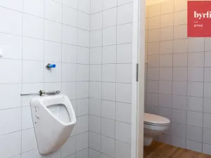 Prodej obchodního prostoru, Opava, Rolnická, 44 m2