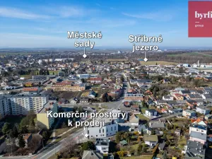 Prodej obchodního prostoru, Opava, Rolnická, 44 m2