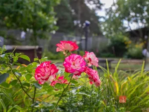 Prodej chaty, Nýřany - Kamenný Újezd, 20 m2