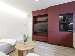 Pronájem bytu 2+kk, Ostrava, Čujkovova, 29 m2