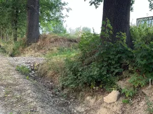 Prodej pozemku pro bydlení, Bavorov - Svinětice, 1396 m2