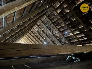 Prodej rodinného domu, Brodek u Konice, 370 m2