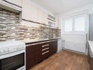 Prodej bytu 2+1, Hodonín, Horní Valy, 55 m2