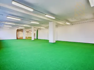 Pronájem obchodního prostoru, Polepy, 1200 m2