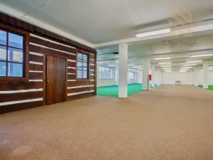 Pronájem obchodního prostoru, Polepy, 1200 m2