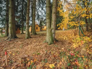 Prodej chaty, Seč, 21 m2