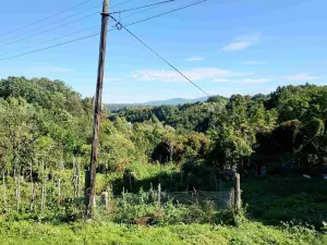 Prodej rodinného domu, Žulová, 350 m2