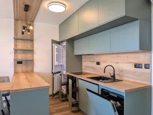 Pronájem bytu 3+kk, Brno, Rybářská, 76 m2