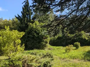 Prodej pozemku pro bydlení, Brno, Jandáskova, 3190 m2