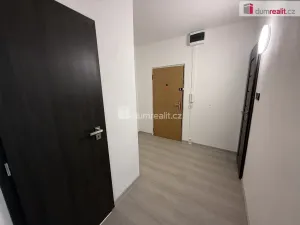 Pronájem bytu 2+1, Krupka - Bohosudov, Kollárova, 53 m2