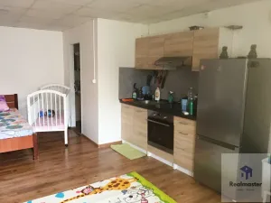 Pronájem bytu 1+kk, Ústí nad Labem - Ústí nad Labem-centrum, Velká Hradební, 30 m2