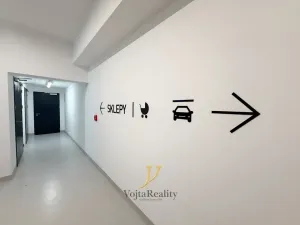 Pronájem bytu 1+kk, Olomouc, Ostrovní, 43 m2