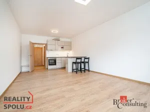 Pronájem bytu 1+kk, Slaný, Lázeňská, 35 m2