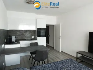 Pronájem bytu 1+kk, Olomouc, Frištenského, 33 m2