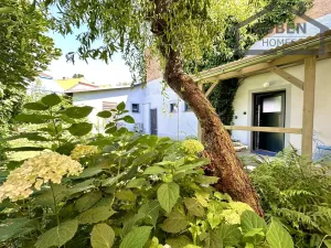 Prodej rodinného domu, Tachov, Dolní Předměstí, 220 m2