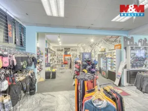 Pronájem restaurace, Plzeň - Vnitřní Město, Zbrojnická, 598 m2