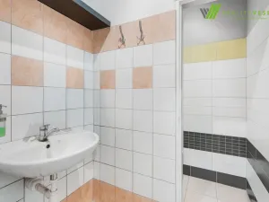 Prodej obchodního prostoru, Hodonín, Měšťanská, 173 m2